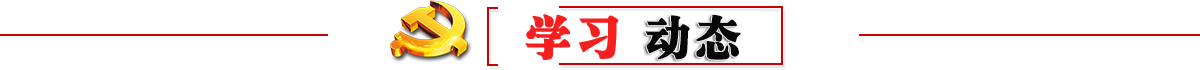 学习动态